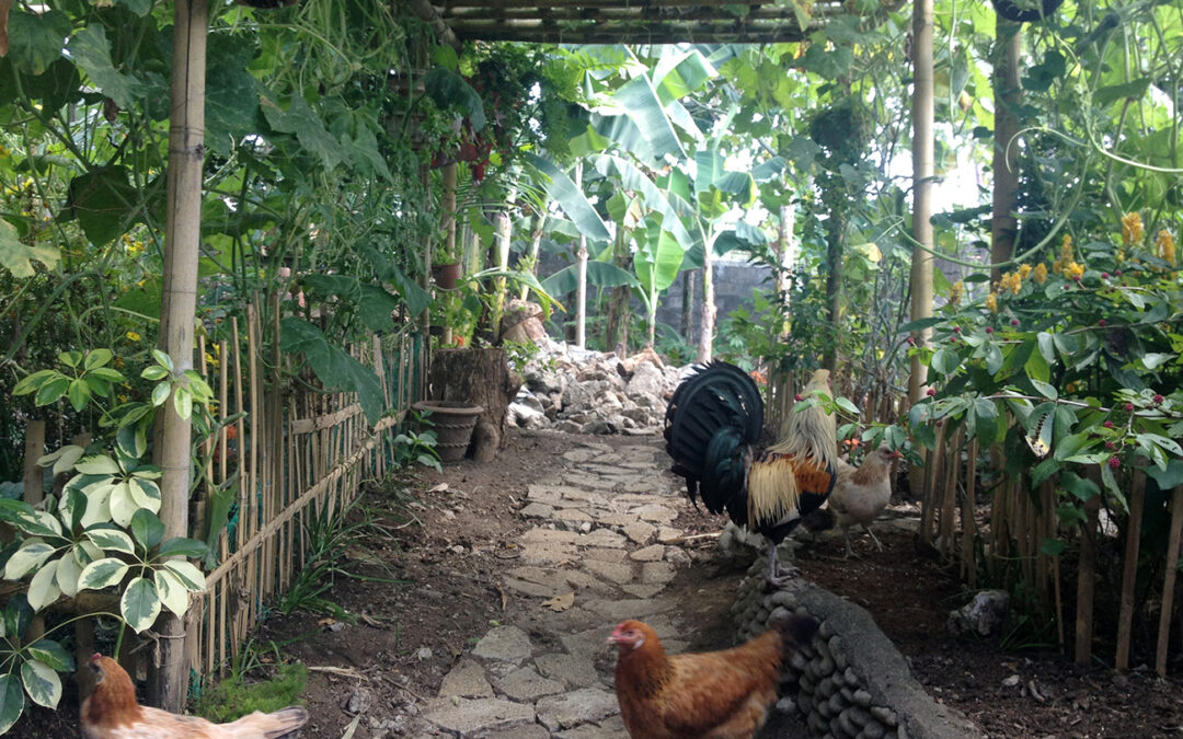 Gardening
